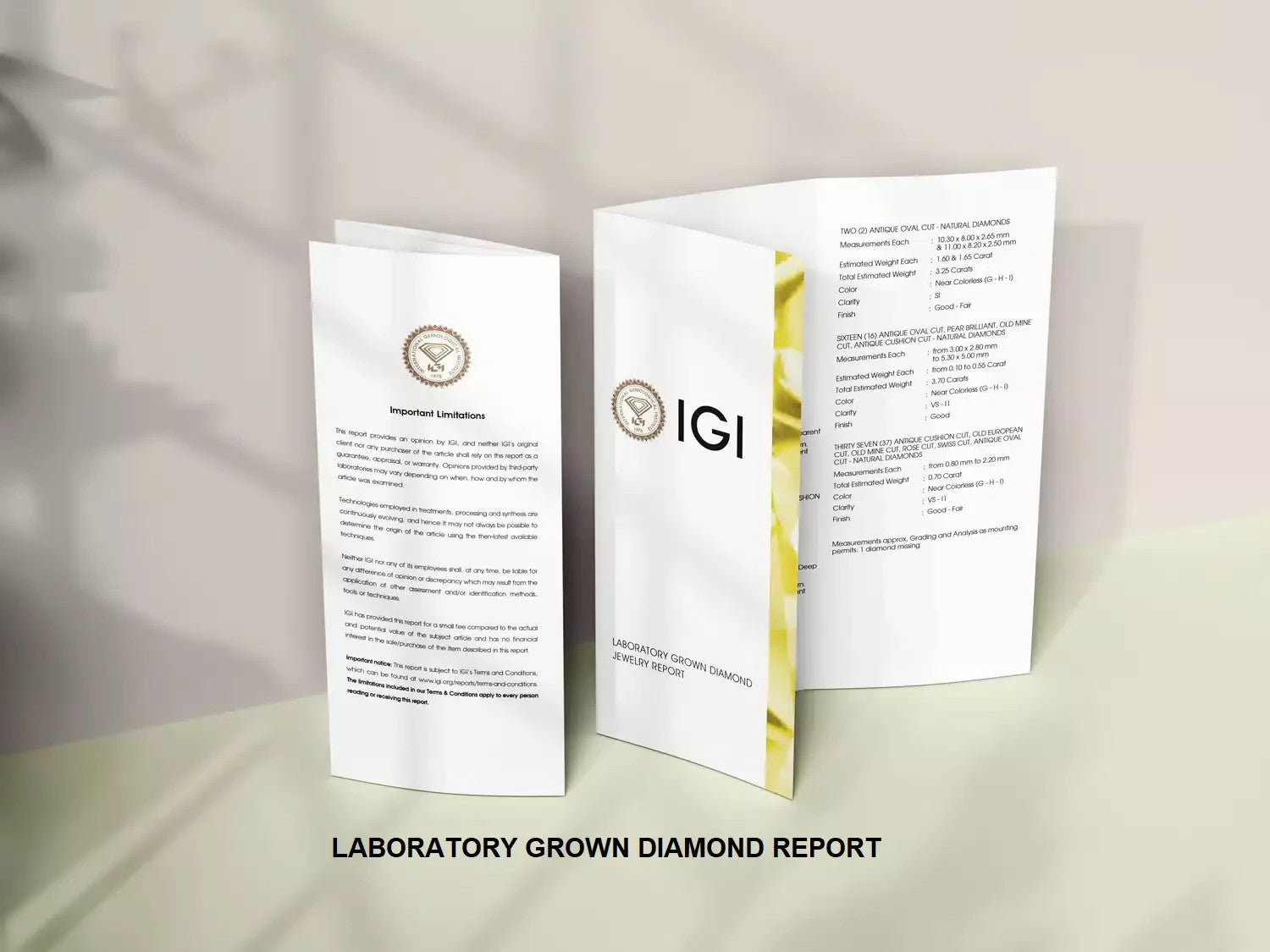 4.00 Ct D VS1 Round 4 Prong Lab Grown Diamond Stud Earrings IGI Certified Plat